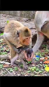 Baby Brother Enjoys Playtime with His Sister 🌿 #Short