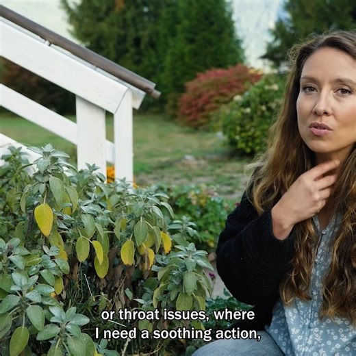 9.2K views · 463 reactions | 5 Common Kitchen Herbs! | Pioneering Today - Melissa K. Norris | Facebook