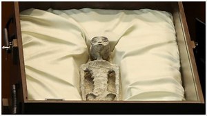 Aliens On Earth! Mexican Lawmakers Present Alien Remains In Parliament; Scientists 1-Step Away From Confirming It