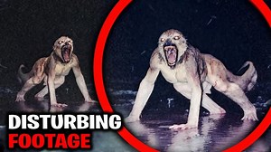7.4K views · 186 reactions | These Strange Creatures Caught By Trail Cam SHOCKED the Whole World! | Aliens UFO Caught on Camera | Facebook