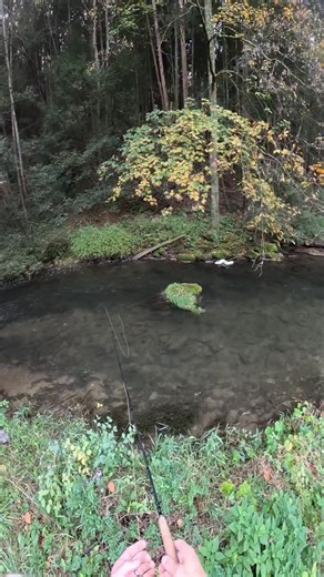 14K views · 24 reactions | Sometimes the managment of your flyline during your drift is the hardest part of flyfishing. If your fly doesn’t drift as natural as possible, the fish below won’t eat your fly. Take risky casts, and practice your mends so you can get your flies to drift in places others would wade past. #howdoyoumendflyline #flyfishingtips #howdoyouflyfish #flyfishing | Flyfishdelawhere | Facebook