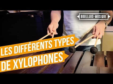 Les différents types de Xylophone !