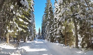 Drive confidently this winter with CAA! Your safety, our priority! Join today and unlock the exclusive opportunity to save on Auto Insurance. Your journey just got safer and more affordable! 🚗 Learn more: https://caaniagara.ca/membership/compare | CAA Niagara