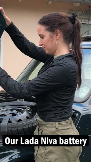 Why Our Niva Battery Keeps Dying