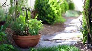 18K views · 496 reactions | Simple Herb Planter www.youtube.com/gardenanswer | Garden Answer | Facebook