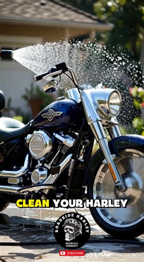 Don’t Clean Your Harley Like This