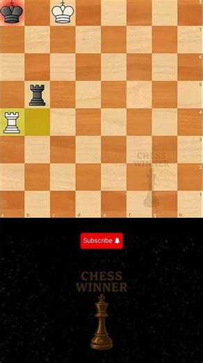 Two Rook vs Two Rooks Endgame ♟️🔥 | Chess Winner #chess #shorts #checkmate #brilliant #endgame