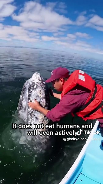 It’s scaring the children!#science #popular #usa #whale | whales