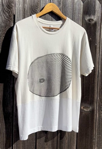 2000s microphones tee, found one that fits. it was cut in half and repaired #microphones