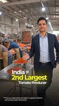 Tomato Powder Export Business | India to Mexico Profit Breakdown | Agro Export Opportunity