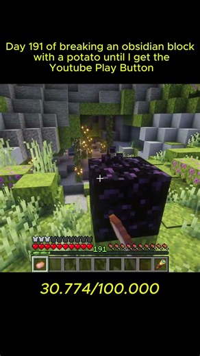 The journey is better than the destination in itself #minecraft #viral