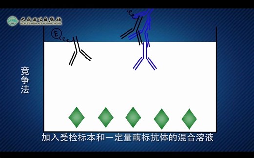 24-1 ELISA的原理和实践