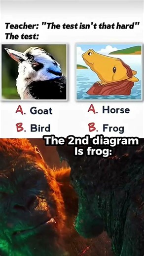 #memes #viralcontent
