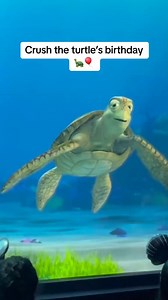 When is Crush the turtle’s birthday? When is Crush the turtle’s birthday? #turtletalkwithcrush #disneyworld #californiaadventure #disneyland | Turtle Crush Talk 2.0