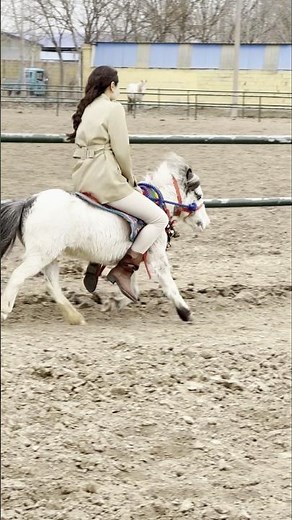 🐎 Farmer Rides a Pony Through the Open Field – Peaceful Farm Life! 💥