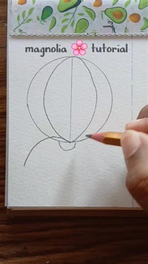How to draw magnolia flowers , easy for beginners -step by step🌸 #fblifestyle . #drawing #art #drawingtutorial #lineart #flowersketch #fyp #reels #globalreels #beautifulflower | Amara Khansa Niaarts