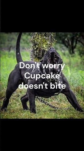 Memes from the washing machine