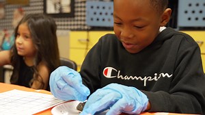 Dissecting owl pellets may sound like a science experiment, but for second graders in Pam Willingham's class at Country Lane Primary it's also a way to meet non-fiction grade-level objectives. | Broken Arrow Public Schools