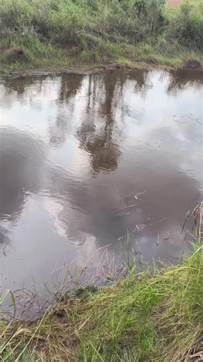 Kan haritu dah cakap... korang je yang lalai... #monsoonswampmonster #msm26 #tfa #ichikawa