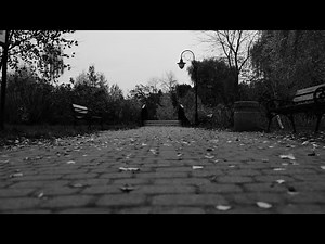 Fritz & Paul Kalkbrenner - Sky and Sand Original Mix (Video Music)