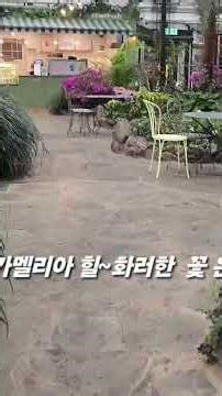 제주 안덕 카멜 리아힐(식물원)#동백꽃 천국 #엠마오 3일차