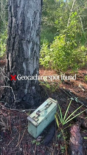Hiking Gator Creek Reserve in Lakeland, Florida | Trek Ten Trails