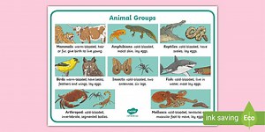 Animal Groups Prompt Mat