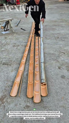 This Simple Bamboo Trick Will Blow Your Mind! Perfect Bamboo Cutting Method