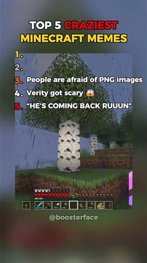 These Minecraft Memes Broke My Brain 💀
