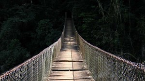 7 Traits A Brave Person Displays Without Knowing It