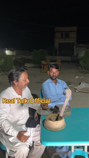 Understanding Snake Calls: Communication in Reptiles