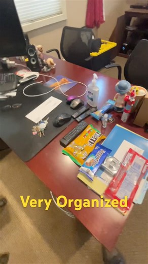 #shorts Neat and Organized