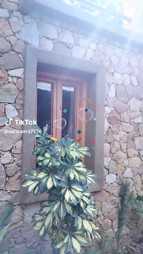 Queen lamia sur TikTok