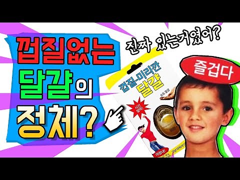 '껍질 미리 깐 달걀' 의 정체?(feat. 즐겁다 밈)