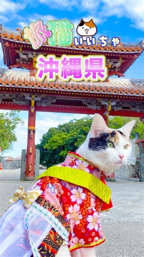 【旅猫いいちゃ♡】沖縄県（首里城守礼門）の旅