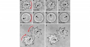 Hybrid biological machines powered by bacteria