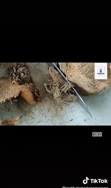 Tips para pelar y preparar el coco fácilmente