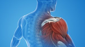 ¿Qué es la sarcopenia? Síntomas de la afección que puede debilitar los músculos