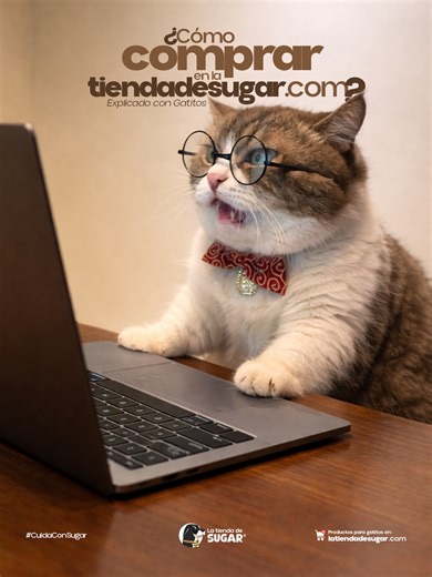 Cómo comprar en latiendadesugar.com explicado por michis 😼🛒 Paso 1: agregar todo. Paso 2: dudar. Paso 3: agregar más premios. ¿Ya lo hiciste? Comenta y entra a latiendadesugar.com #latiendadesugar #mascotas #bienestaranimal #PetTok #CuidaConSugar