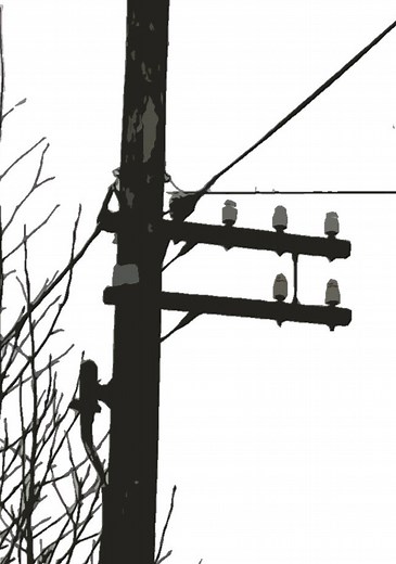 History Archives - The Telegraph Pole Appreciation Society