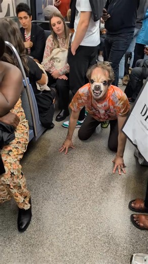 #humor #dog #cat | Stev Lancelot