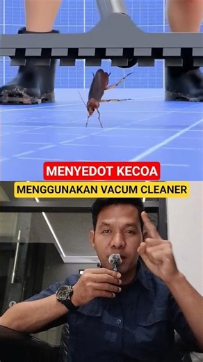 CATCHING COCKROACHES WITH A VACUUM