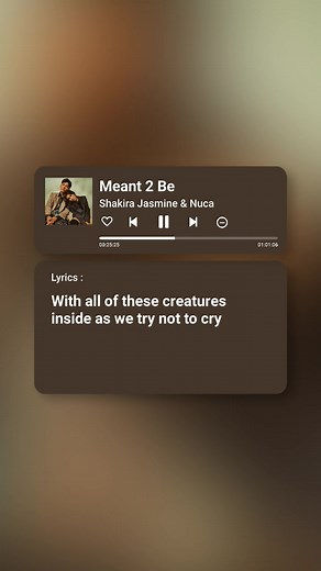 Meant To Be - Lyrics, Music Video, and Meaning