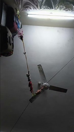 Essential Strategies for Writing Catchy Livestream Titles