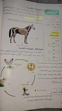 #علوم رابع ابتدائي حل مراجعة الدرس (صفحة ٨٢) #المنهج الجديد 2025