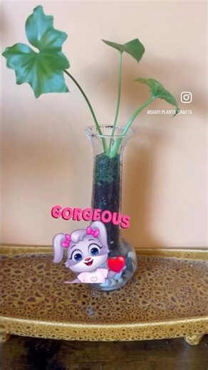 Before you toss that glass jar… let me show you an easy way to repurpose it! ♻️