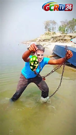 Catching 80 kg of tiger fish with papaya bait #fishing#fish #fishbait