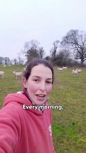 14K views · 382 reactions | Sophia talks us through how she keeps her livestock happy and healthy 殺 British farmers are proud to have some of the highest animal welfare standards in the world ‍ #BackBritishFarming | Back British Farming NFU | Facebook
