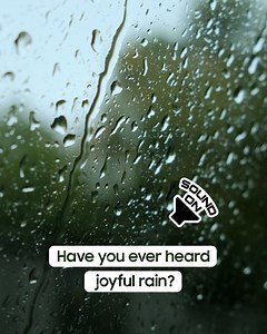 5.8K views · 16 reactions | Looks like rain... But where's the...