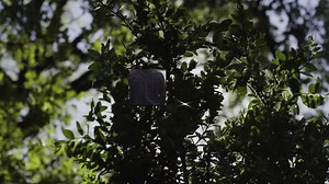 3K views · 147 reactions | A global gathering of seasoned and emerging prophetic voices, featuring Cindy Jacobs, Rick Joyner, Bill Hamon, James Goll, Harry Jackson and respected prophets from over 55 nations. Three days of prophetic impartation from prophets from around the world. You do not want to miss this! | Cindy Jacobs | Facebook